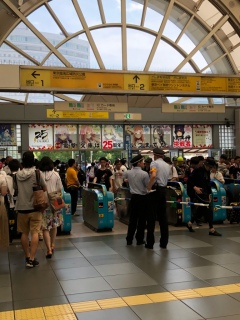 6�N�Ԃ肭�炢�̃R�~�P